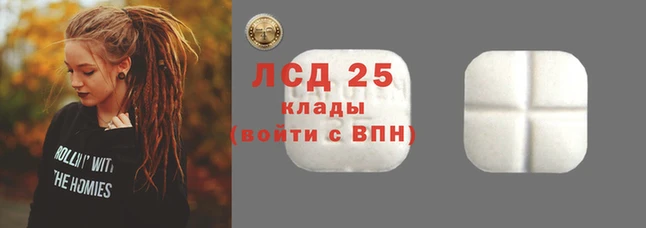 spice Покачи